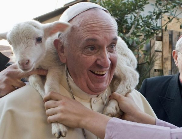 Udholdenhed Globus sjækel PETA Protesters Throw Paint On Francis For Wearing Lamb | EOTT LLC